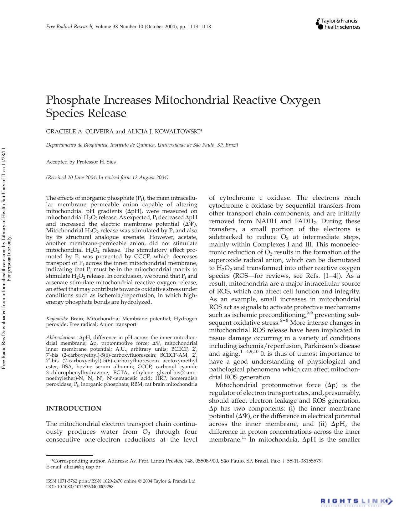 Phosphate Increases Mitochondrial Reactive Oxygen Species Release by Graciele A. Oliveira & Alicia J. Kowaltowski*