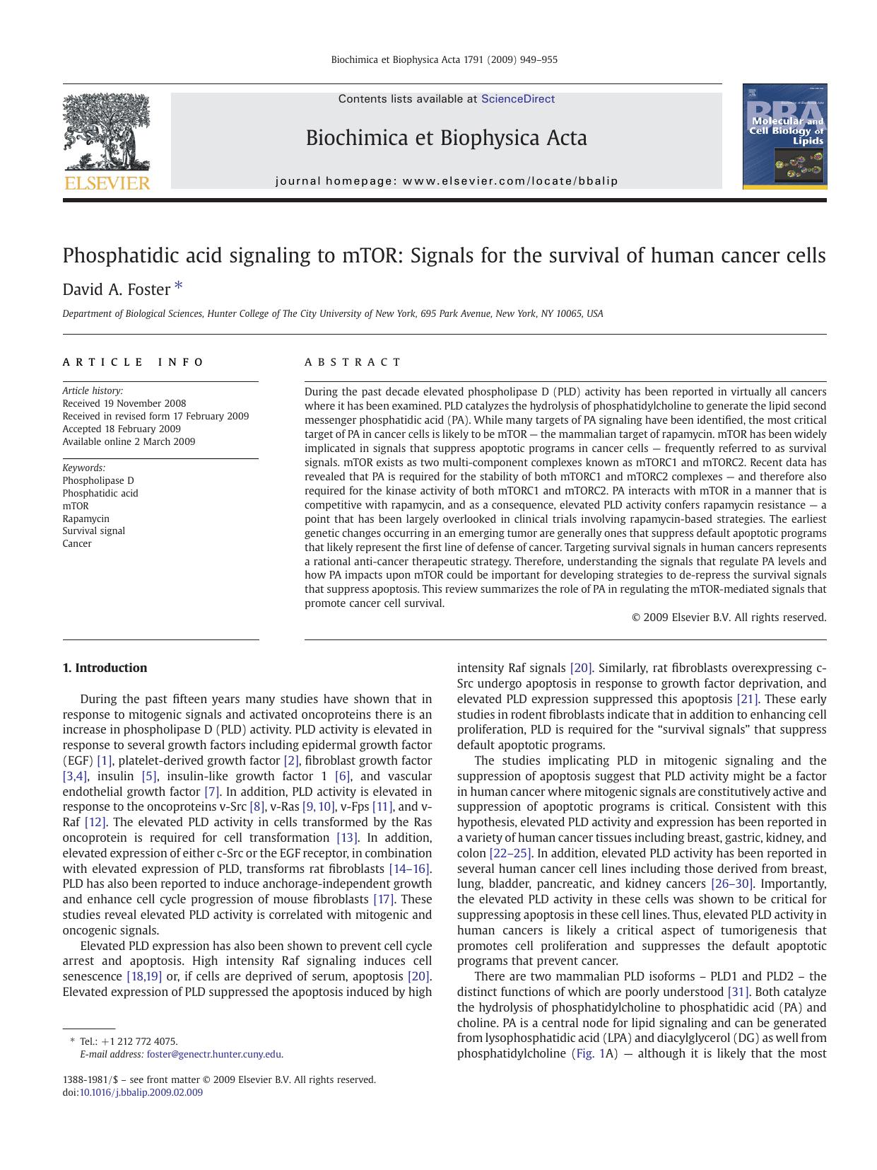 Phosphatidic acid signaling to mTOR: Signals for the survival of human cancer cells by David A. Foster