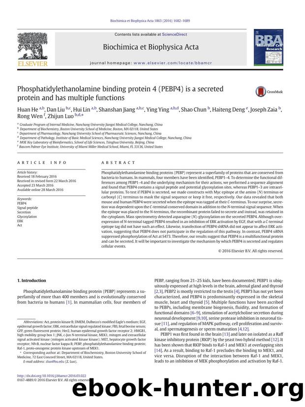 Phosphatidylethanolamine binding protein 4 (PEBP4) is a secreted protein and has multiple functions by unknow