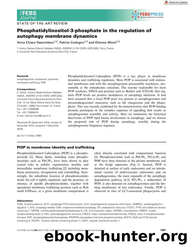 Phosphatidylinositolâ3âphosphate in the regulation of autophagy membrane dynamics by Unknown