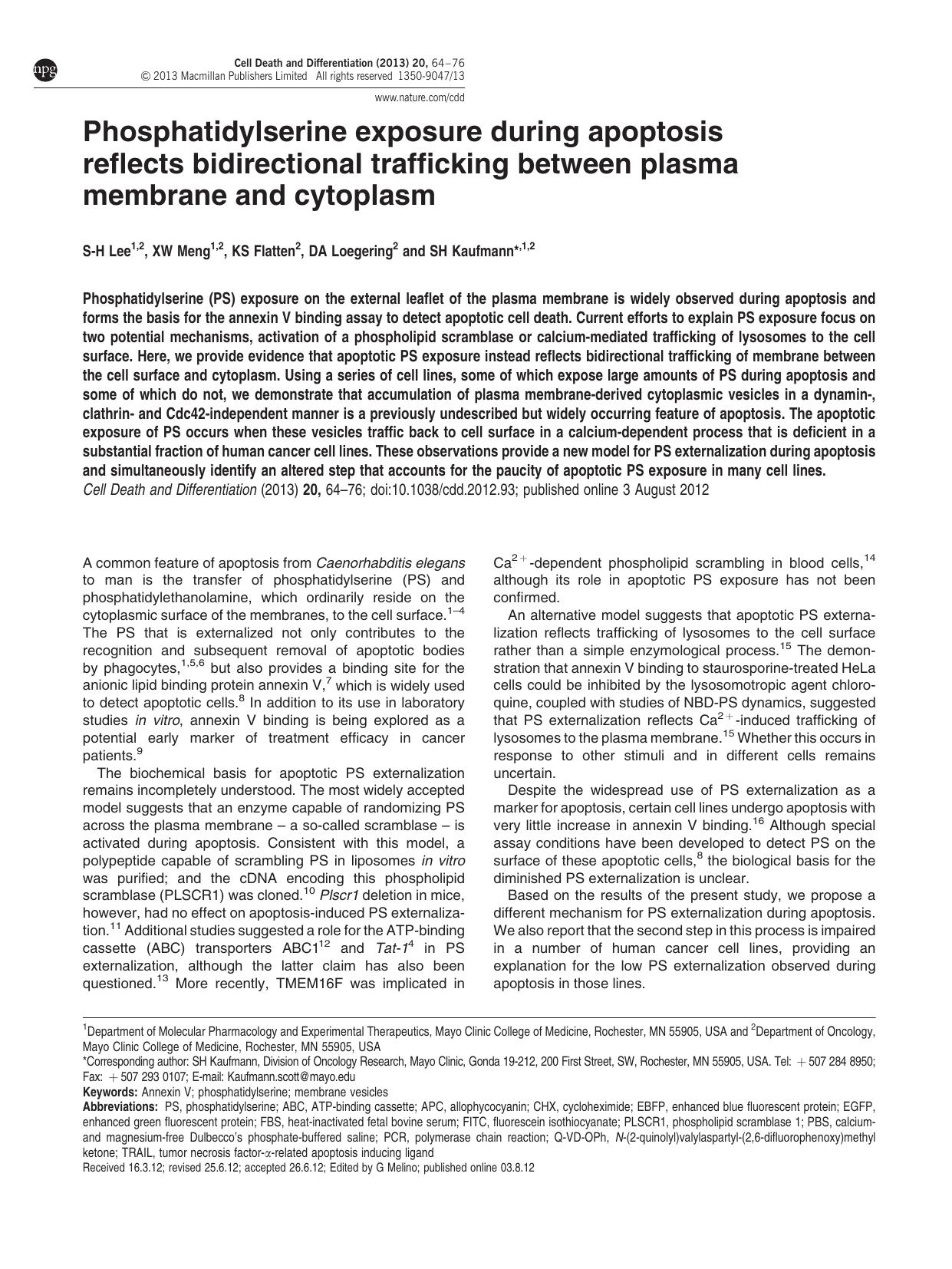 Phosphatidylserine exposure during apoptosis reflects bidirectional trafficking between plasma membrane and cytoplasm by S-H Lee & X W Meng & K S Flatten & D A Loegering & S H Kaufmann