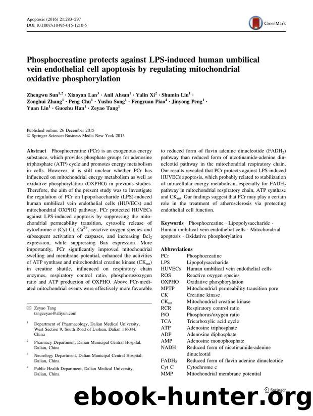 Phosphocreatine protects against LPS-induced human umbilical vein endothelial cell apoptosis by regulating mitochondrial oxidative phosphorylation by unknow