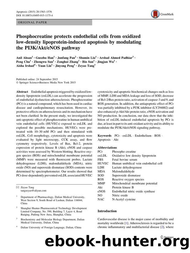 Phosphocreatine protects endothelial cells from oxidized low-density lipoprotein-induced apoptosis by modulating the PI3KAkteNOS pathway by unknow