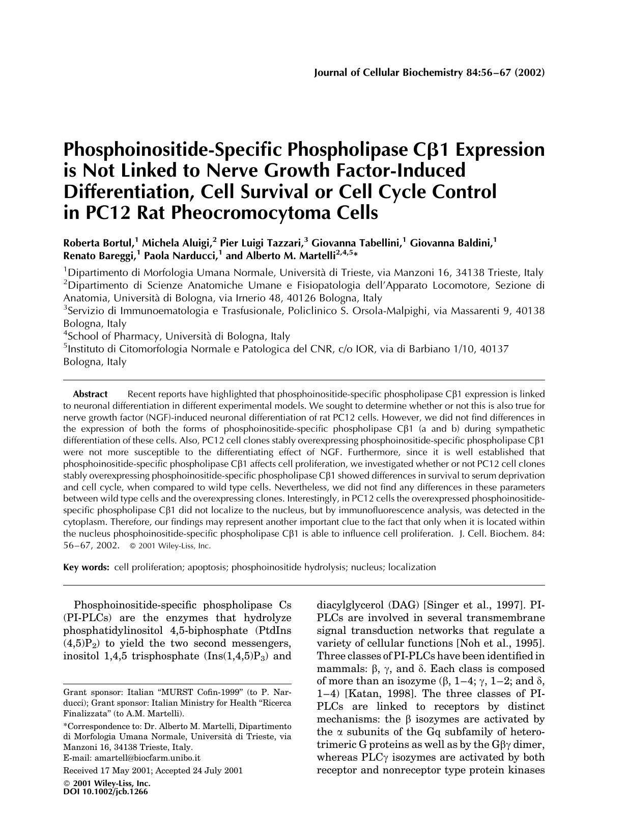 Phosphoinositide-specific phospholipase C[beta]1 expression is not linked to nerve growth factor-induced differentiation, cell survival or cell cycle control in PC12 rat pheocromocytoma cells by Unknown