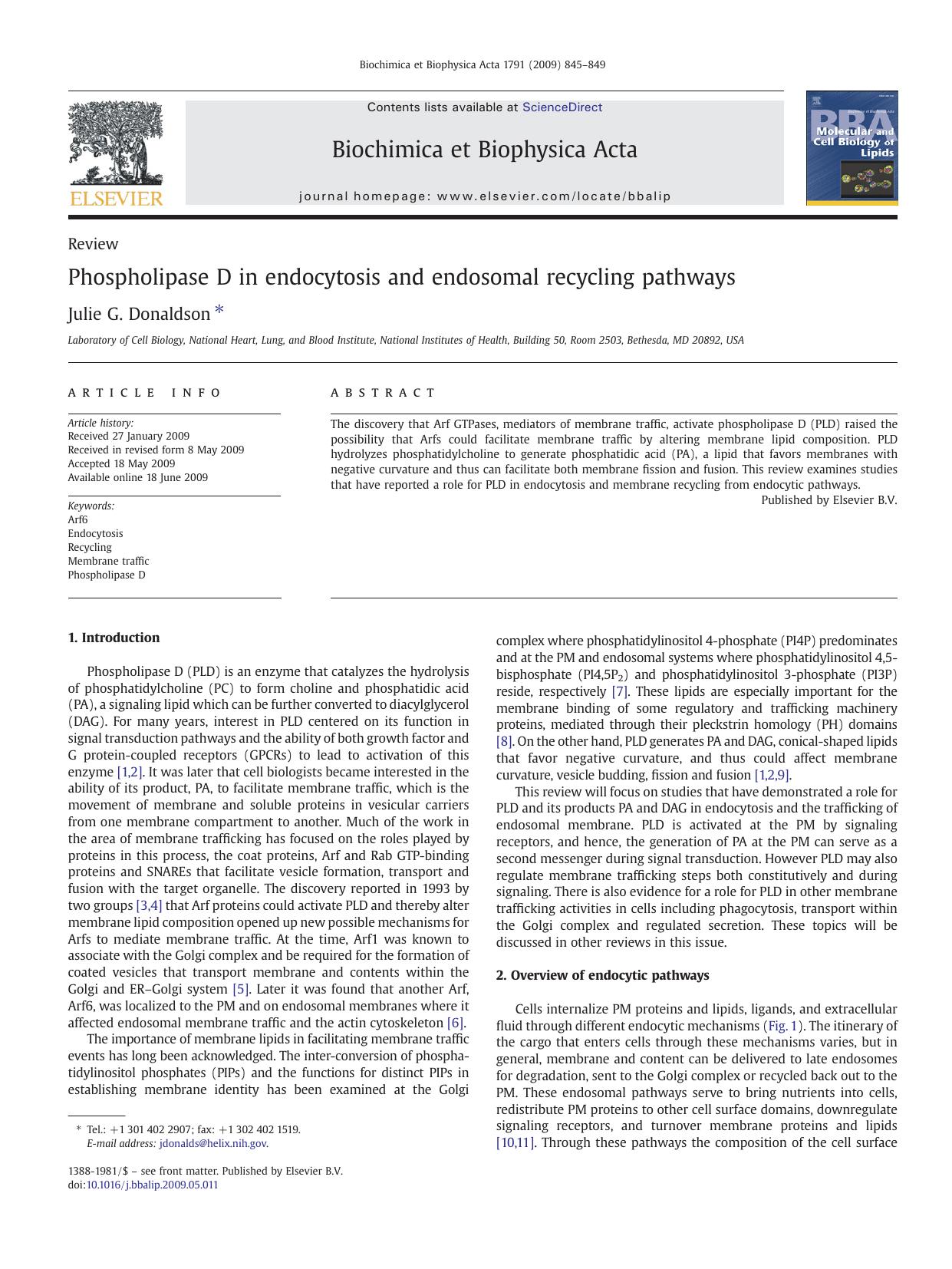 Phospholipase D in endocytosis and endosomal recycling pathways by Julie G. Donaldson