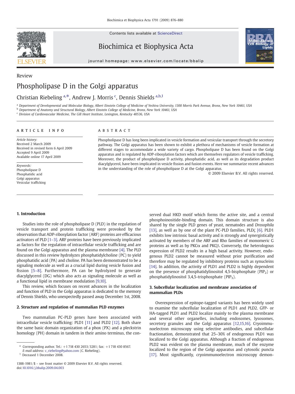 Phospholipase D in the Golgi apparatus by Christian Riebeling; Andrew J. Morris; Dennis Shields