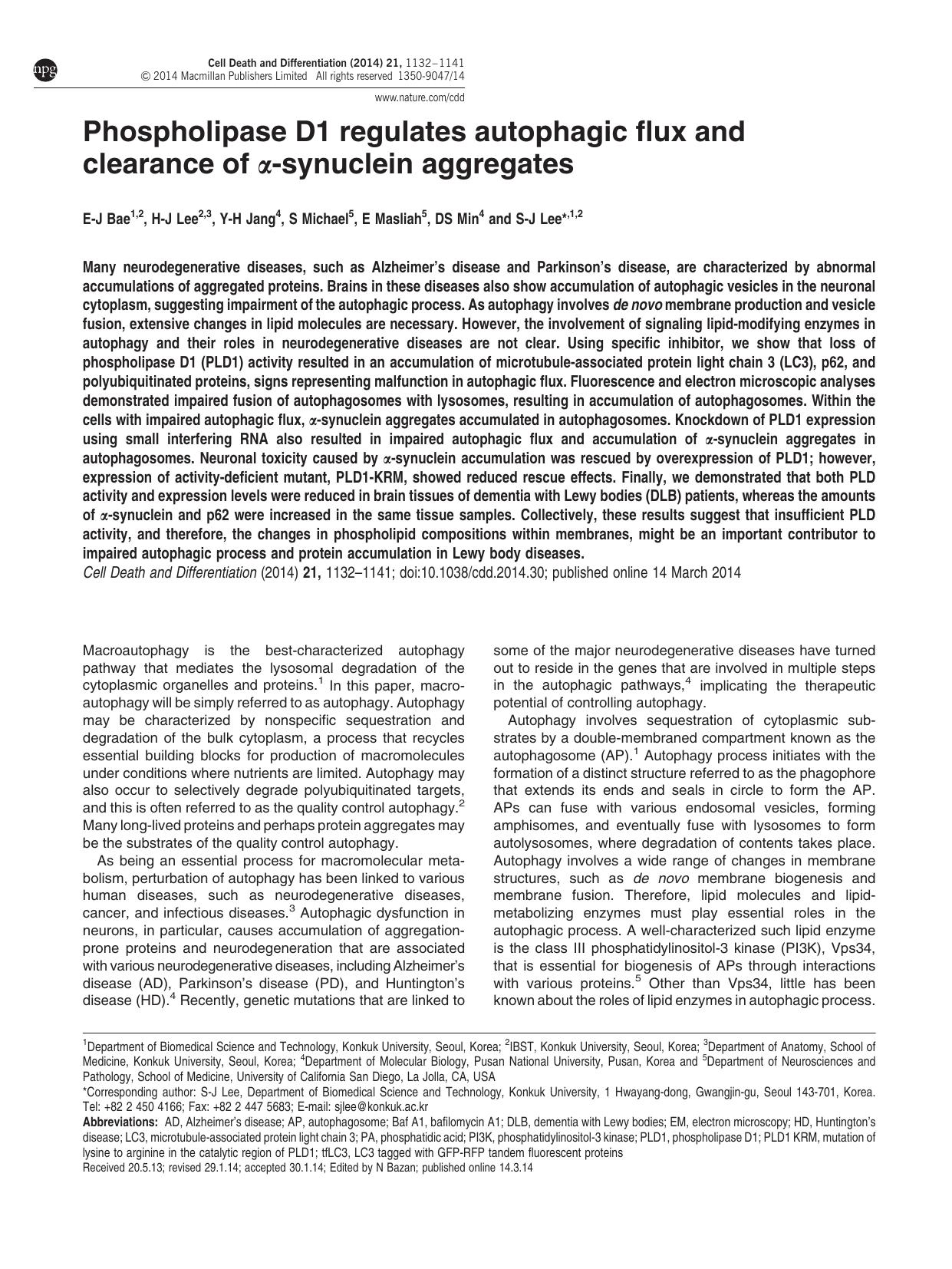 Phospholipase D1 regulates autophagic flux and clearance of &alpha;-synuclein aggregates by E-J Bae & H-J Lee & Y-H Jang & S Michael & E Masliah & D S Min & S-J Lee