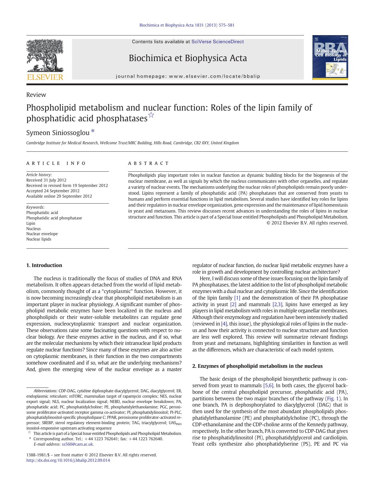 Phospholipid metabolism and nuclear function: Roles of the lipin family of phosphatidic acid phosphatases by Symeon Siniossoglou