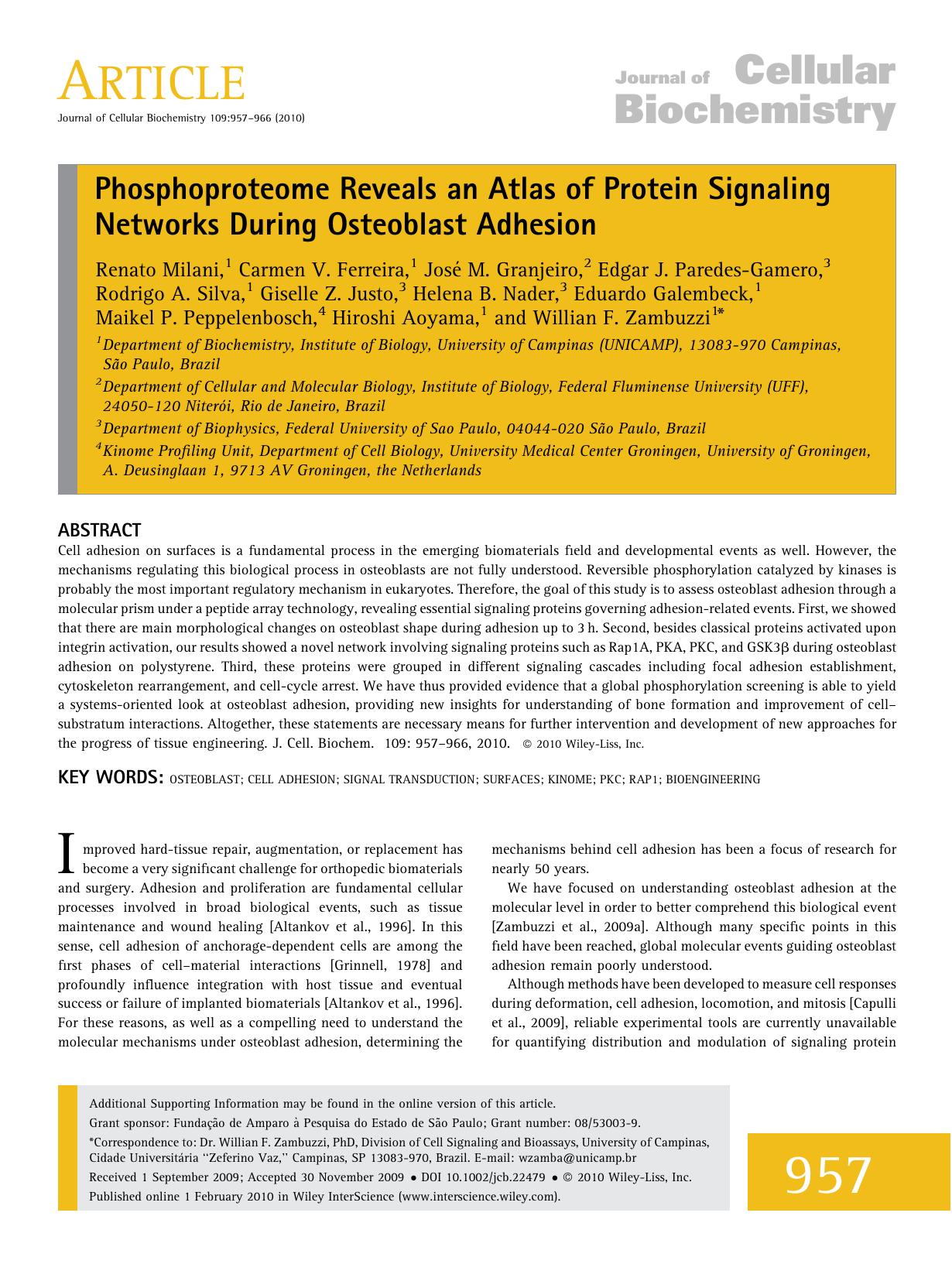 Phosphoproteome reveals an atlas of protein signaling networks during osteoblast adhesion by Unknown