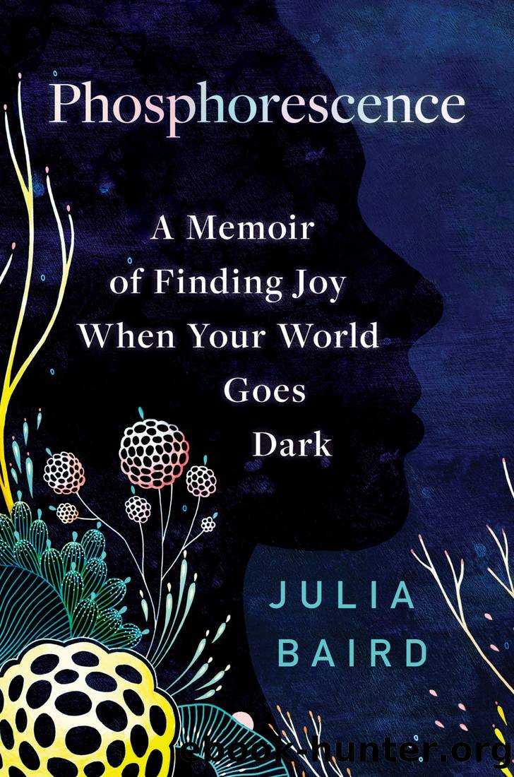 Phosphorescence: A Memoir of Finding Joy When the World Goes Dark by Julia Baird