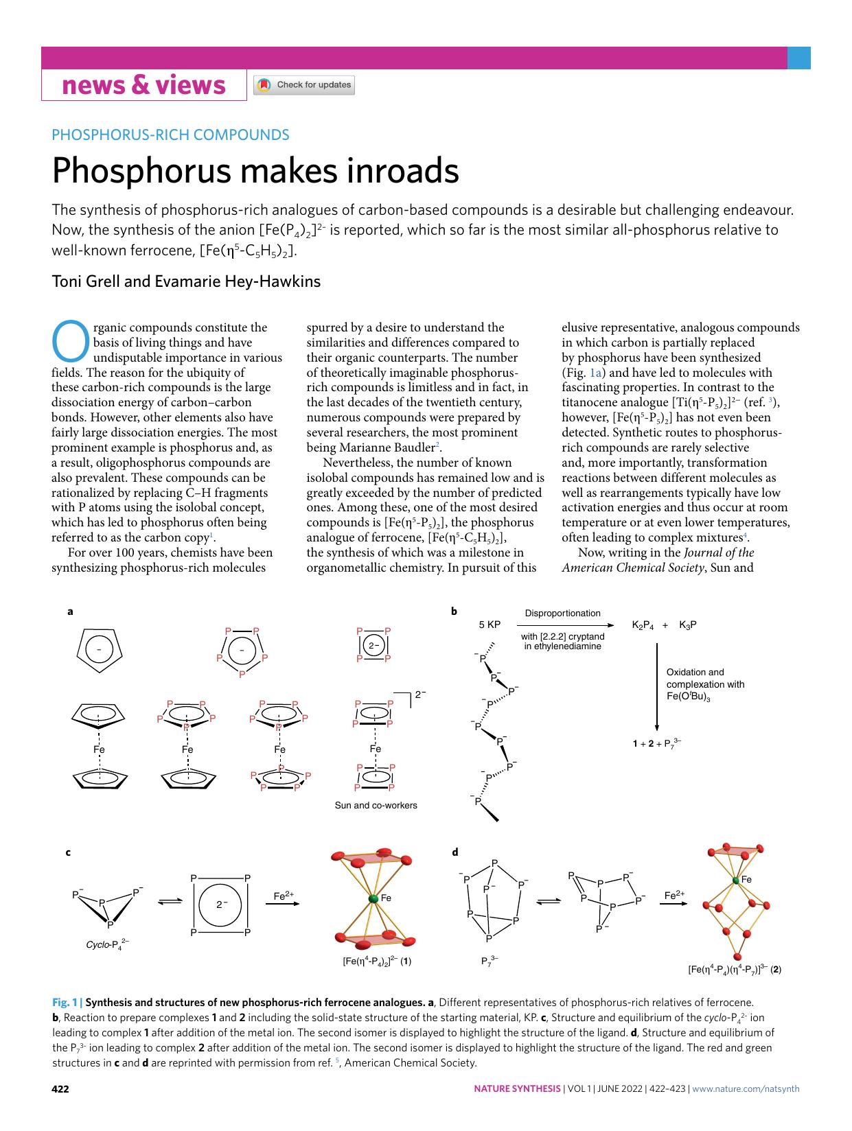 Phosphorus makes inroads by Toni Grell & Evamarie Hey-Hawkins