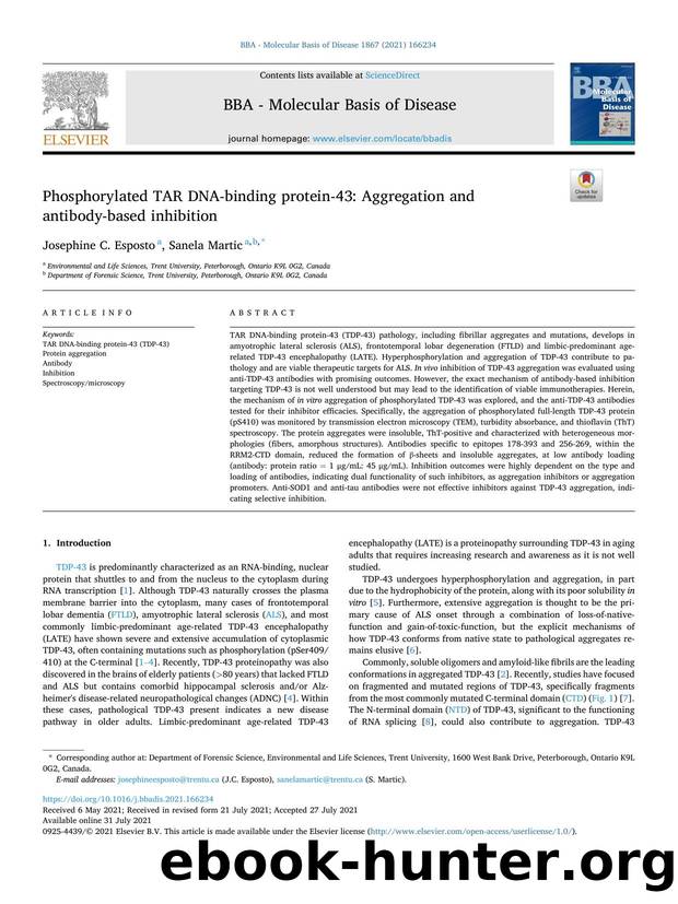 Phosphorylated TAR DNA-binding protein-43: Aggregation and antibody-based inhibition by Josephine C. Esposto & Sanela Martic