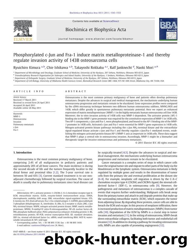 Phosphorylated c-Jun and Fra-1 induce matrix metalloproteinase-1 and thereby regulate invasion activity of 143B osteosarcoma cells by Ryuichiro Kimura & Chie Ishikawa & Takayoshi Rokkaku & Ralf Janknecht & Naoki Mori