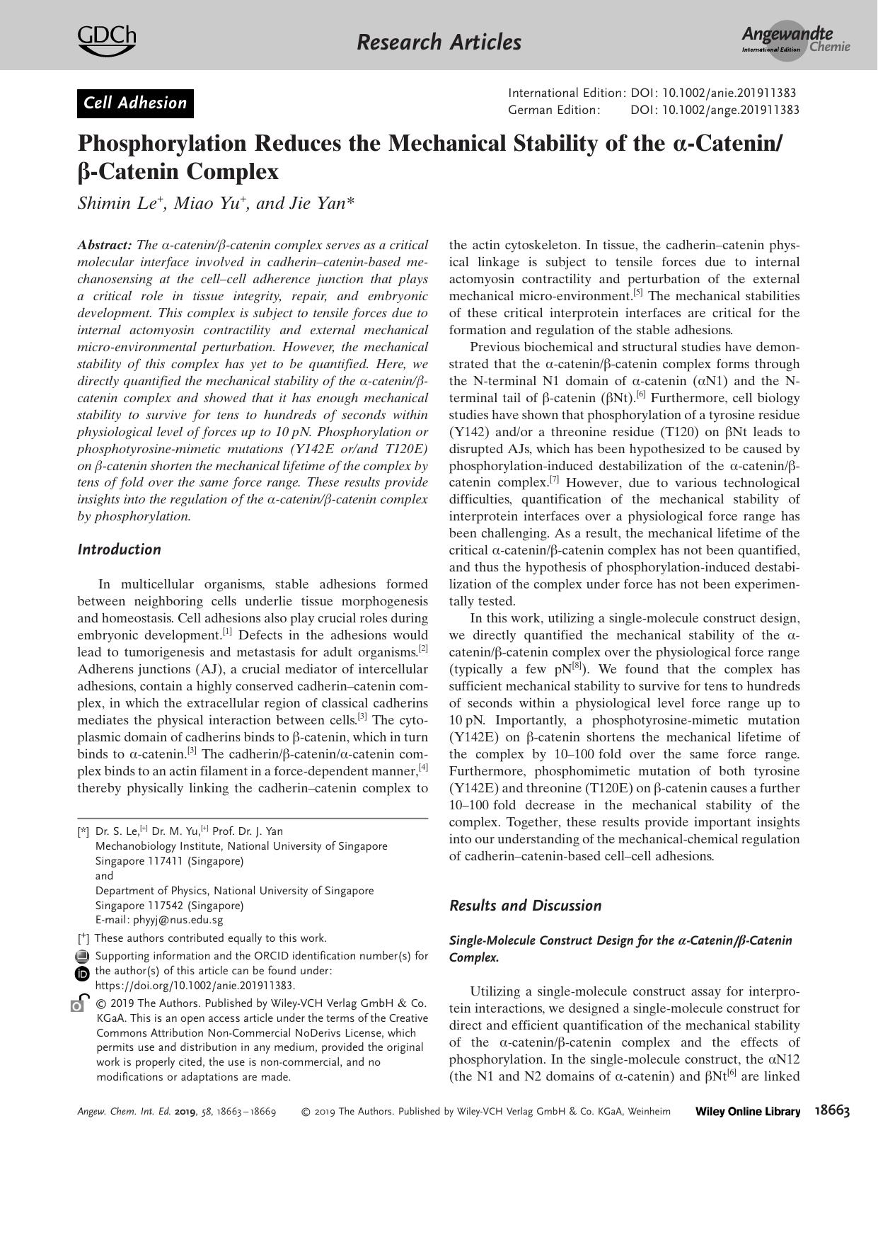 Phosphorylation Reduces the Mechanical Stability of the Î±âCatenin Î²âCatenin Complex by Unknown