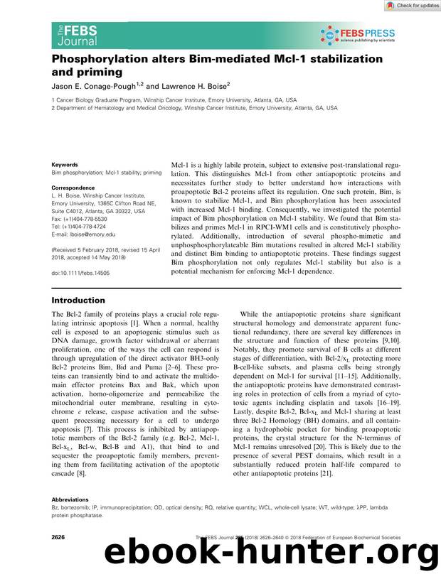 Phosphorylation alters Bimâmediated Mclâ1 stabilization and priming by Unknown