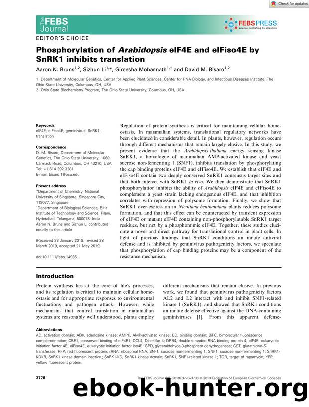 Phosphorylation of Arabidopsis eIF4E and eIFiso4E by SnRK1 inhibits translation by Unknown