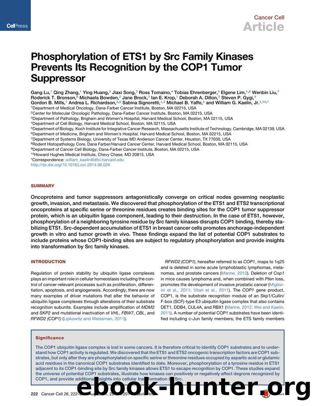 Phosphorylation of ETS1 by Src Family Kinases Prevents Its Recognition by the COP1 Tumor Suppressor by unknow