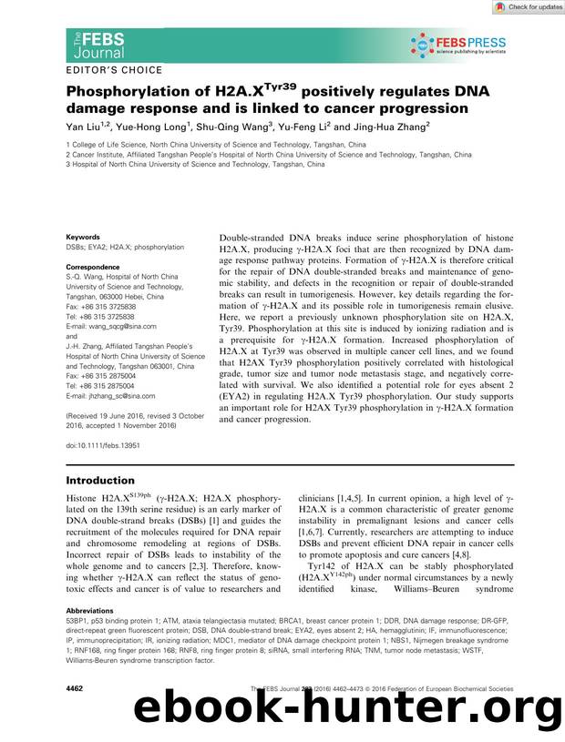 Phosphorylation of H2A.XTyr39 positively regulates DNA damage response and is linked to cancer progression by Unknown