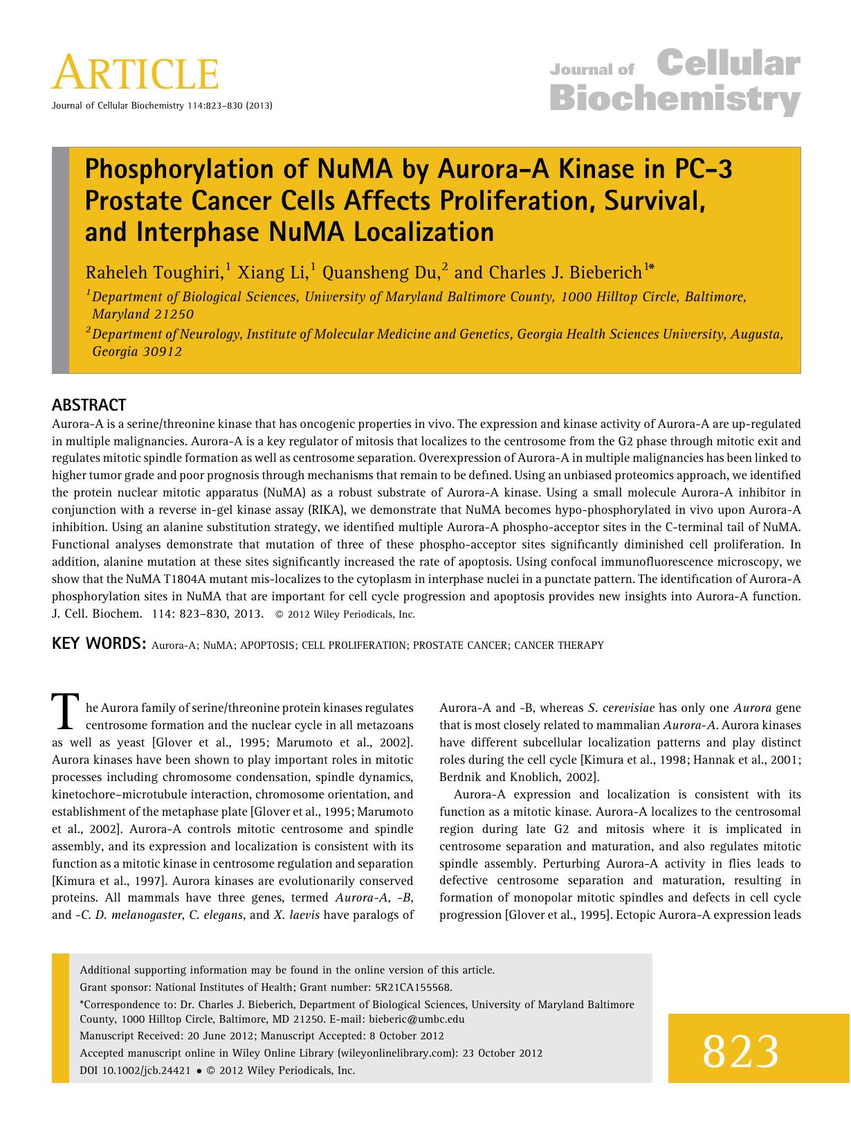 Phosphorylation of NuMA by AuroraA kinase in PC3 prostate cancer cells affects proliferation, survival, and interphase NuMA localization by Unknown