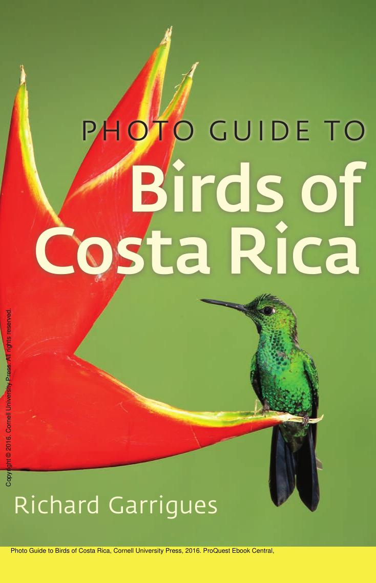 Photo Guide to Birds of Costa Rica by Richard Garrigues