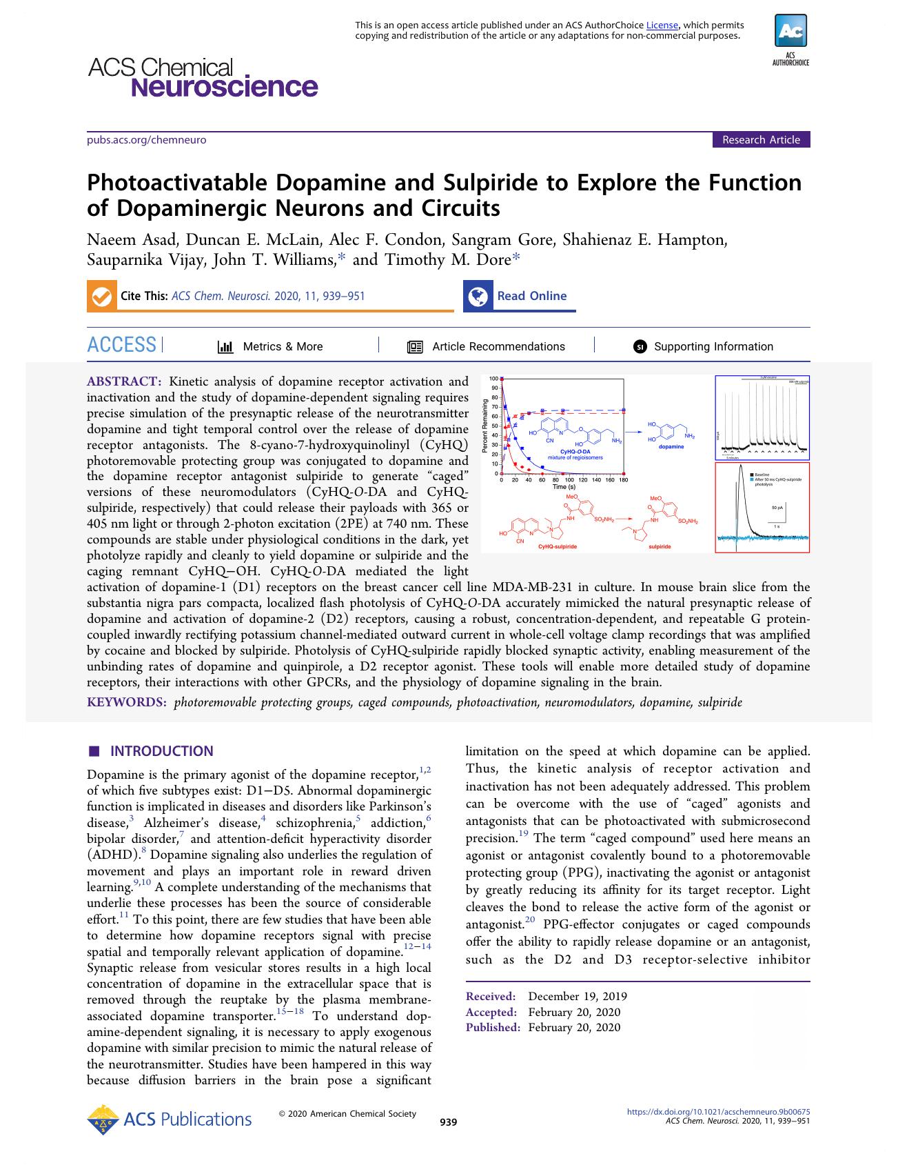 Photoactivatable Dopamine and Sulpiride to Explore the Function of Dopaminergic Neurons and Circuits by unknow