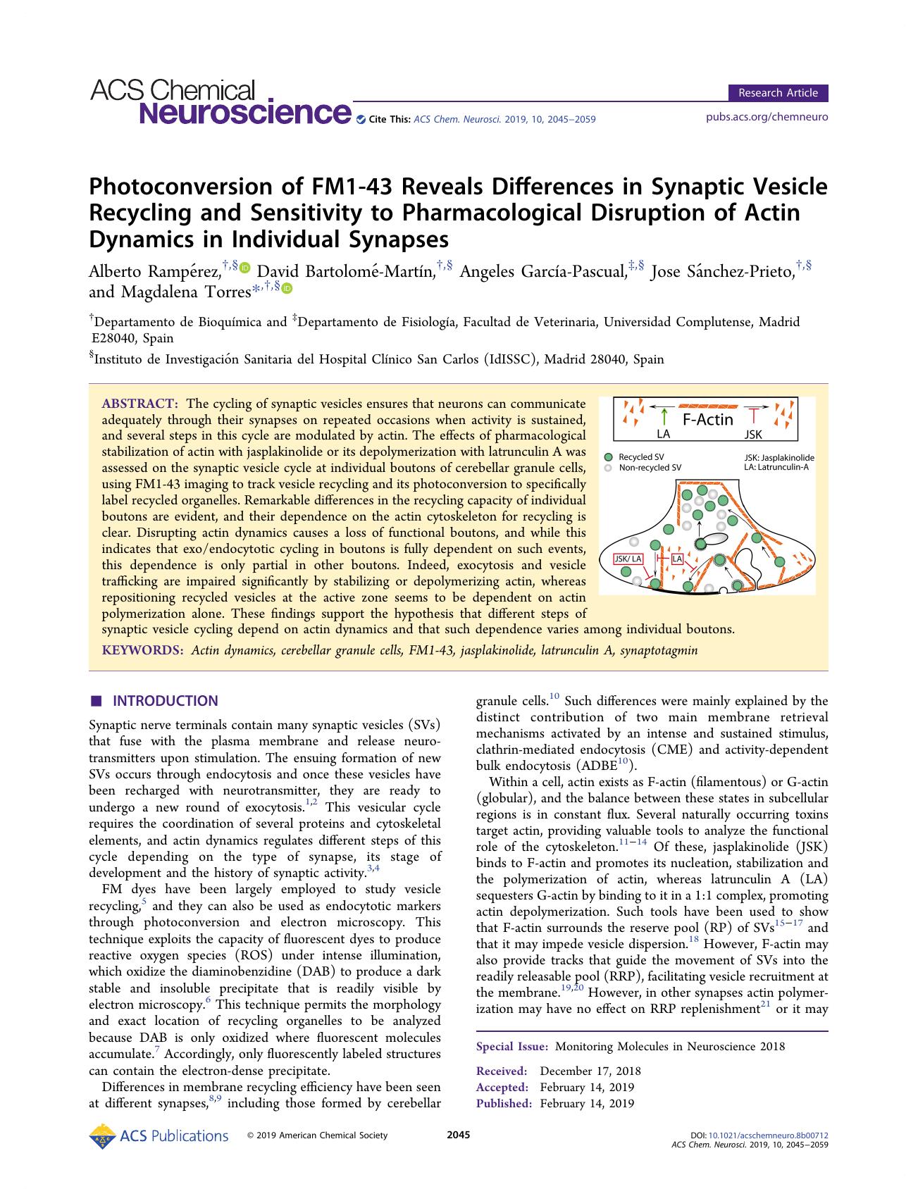 Photoconversion of FM1-43 Reveals Differences in Synaptic Vesicle Recycling and Sensitivity to Pharmacological Disruption of Actin Dynamics in Individual Synapses by unknow