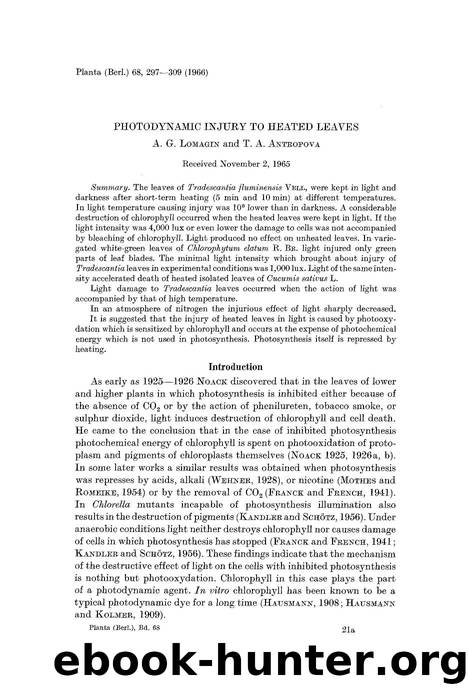 Photodynamic injury to heated leaves by Unknown