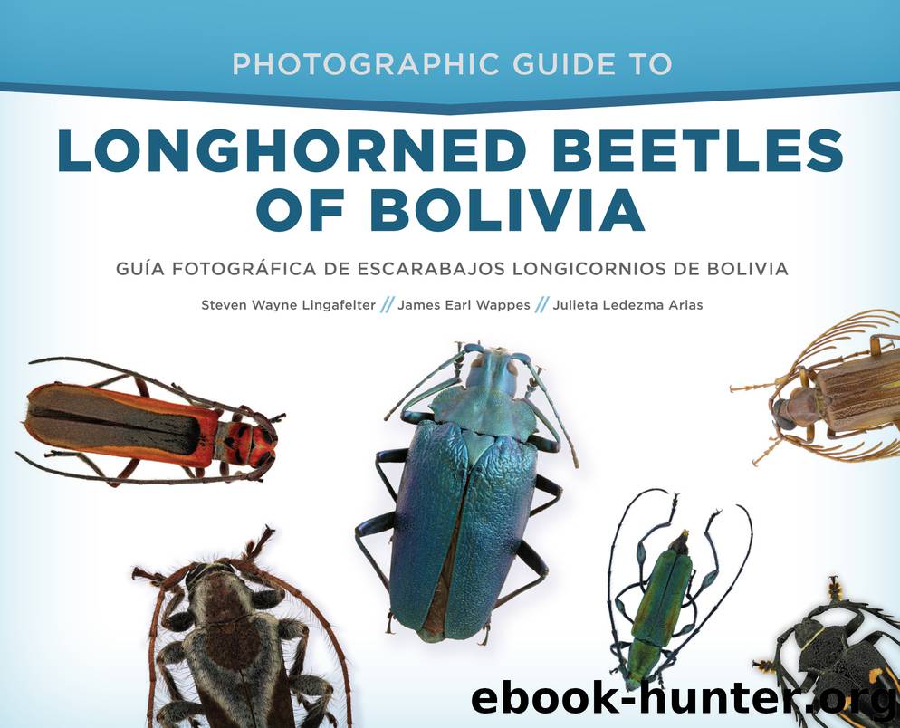 Photographic Guide to Longhorned Beetles of Bolivia by Steven Wayne Lingafelter James Earl Wappes Julieta Ledezma Arias