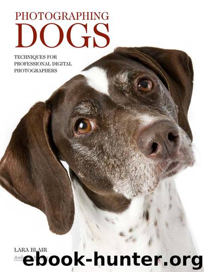 Photographing Dogs by Blair Lara