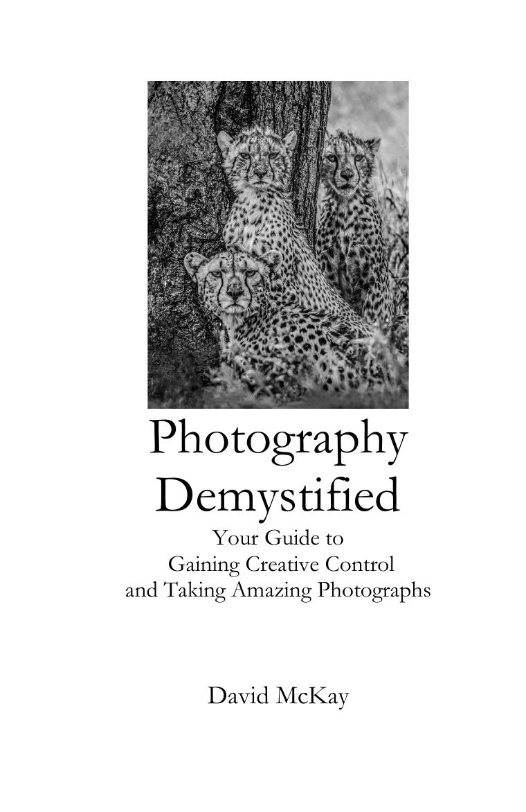 Photography Demystified: Your Guide to Gaining Creative Control and Taking Amazing Photographs! by David McKay; Toby Gelston