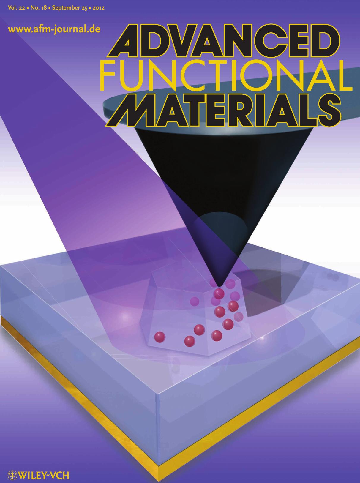 Photoinduced Conductivity: Conducting Domain Walls in Lithium Niobate Single Crystals (Adv. Funct. Mater. 182012) by Unknown