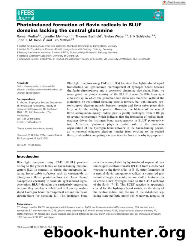 Photoinduced formation of flavin radicals in BLUF domains lacking the central glutamine by Unknown