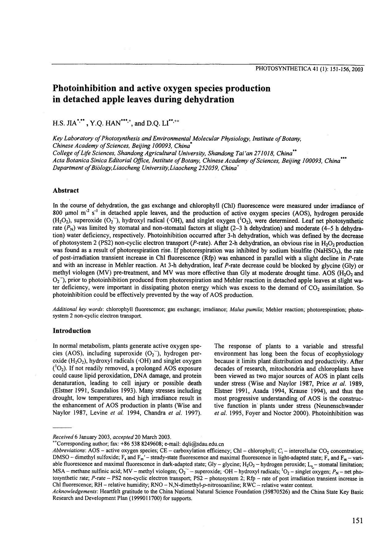 Photoinhibition and Active Oxygen Species Production in Detached Apple Leaves During Dehydration by Unknown