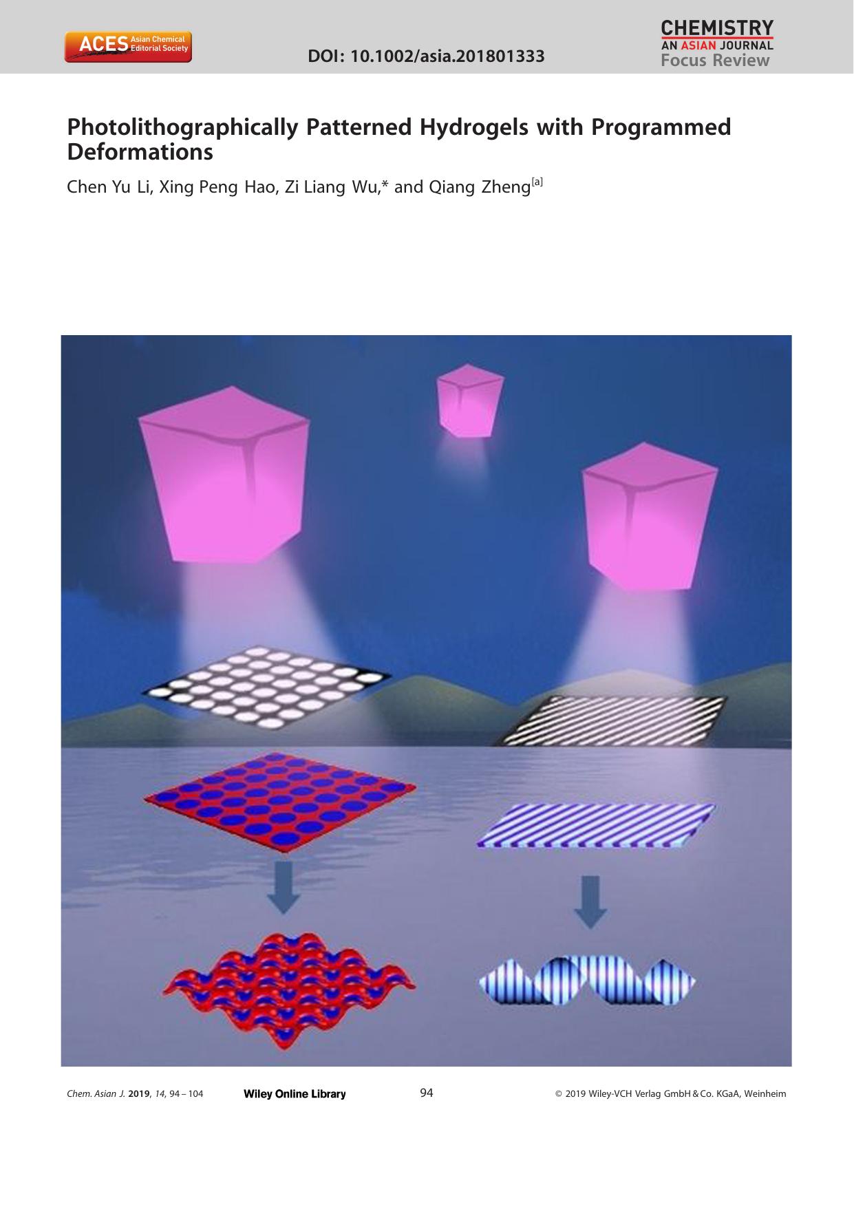 Photolithographically Patterned Hydrogels with Programmed Deformations by Unknown