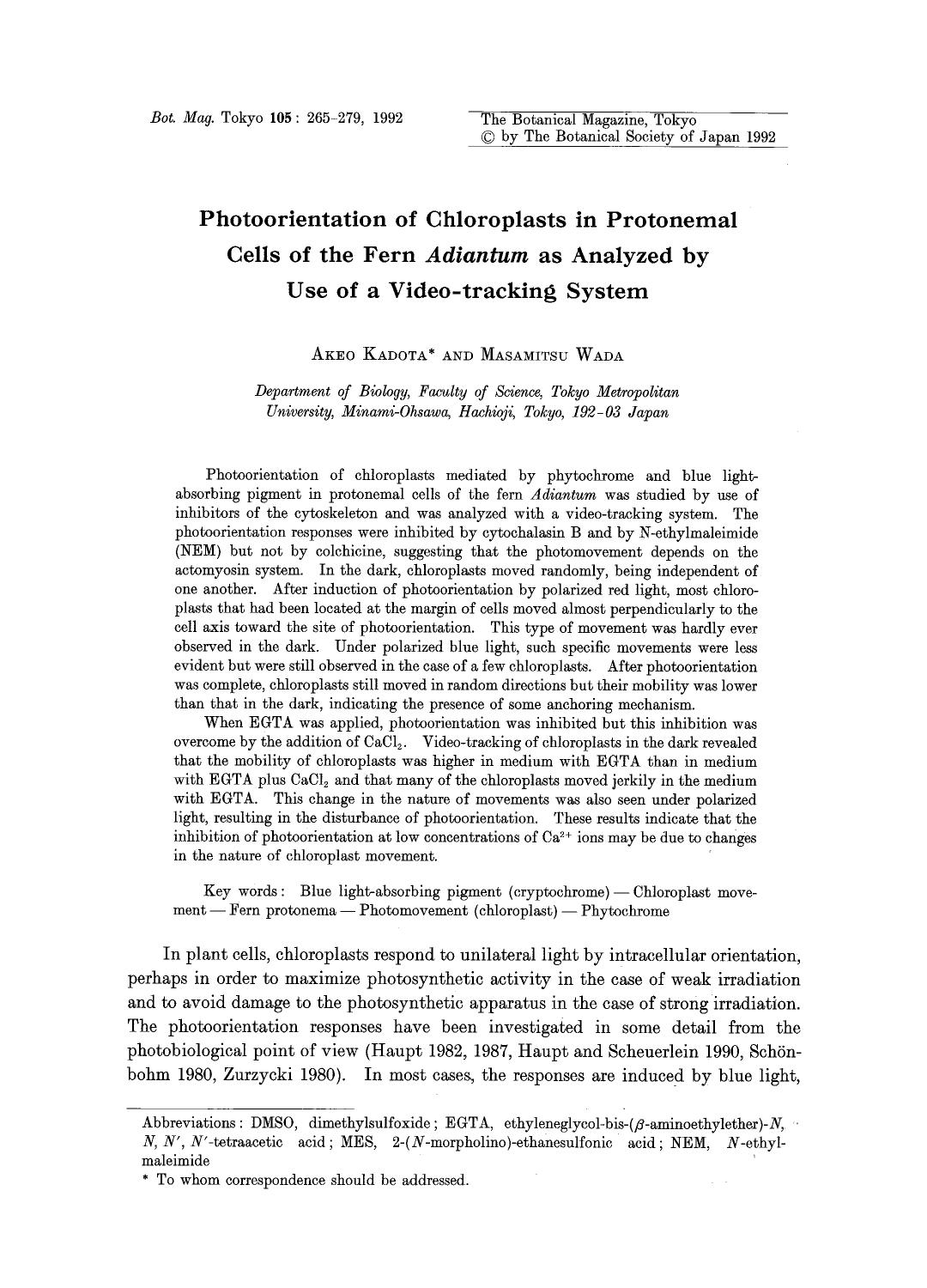 Photoorientation of chloroplasts in protonemal cells of the fern <Emphasis Type="Italic">Adiantum <Emphasis> as analyzed by use of a video-tracking system by Unknown