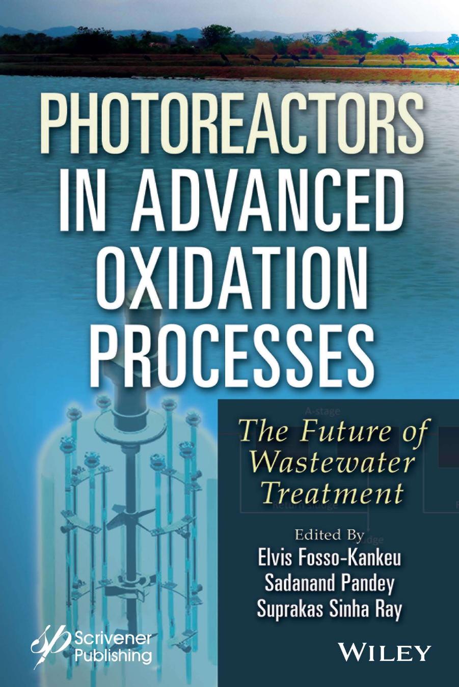 Photoreactors in Advanced Oxidation Process: The Future of Wastewater Treatment by Elvis Fosso-Kankeu Sadanand Pandey Suprakas Sinha Ray