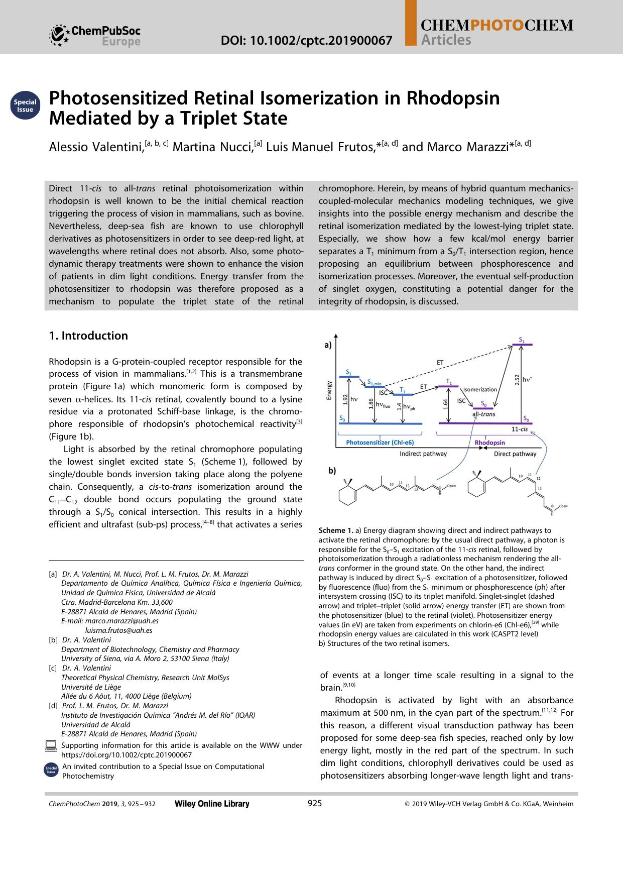 Photosensitized Retinal Isomerization in Rhodopsin Mediated by a Triplet State by Unknown