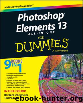 Photoshop Elements 13 All-in-One For Dummies by Barbara Obermeier