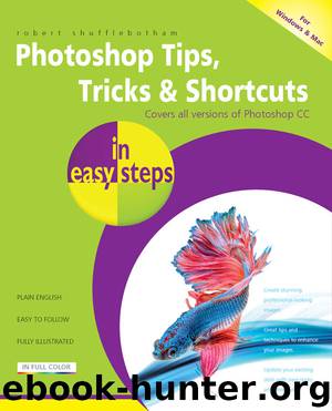 Photoshop Tips, Tricks & Shortcuts by Robert Shufflebotham