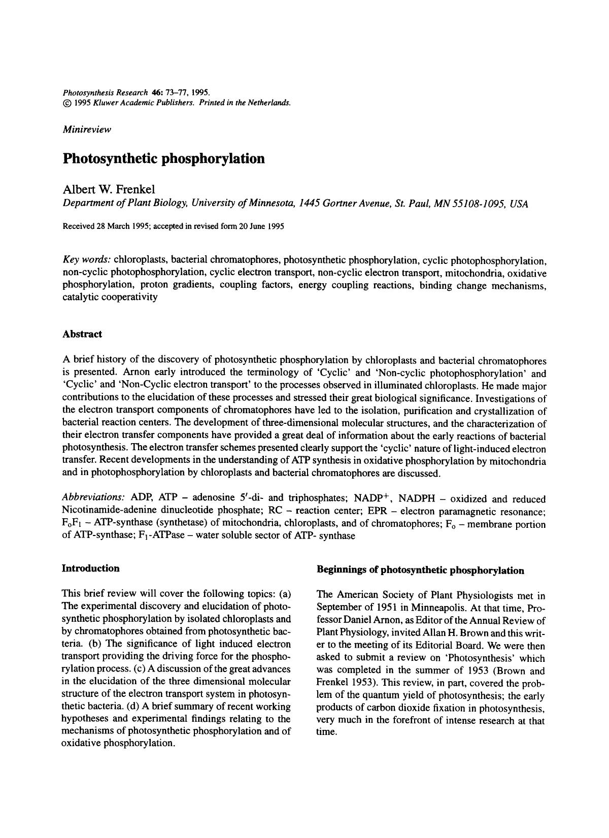Photosynthetic phosphorylation by Unknown