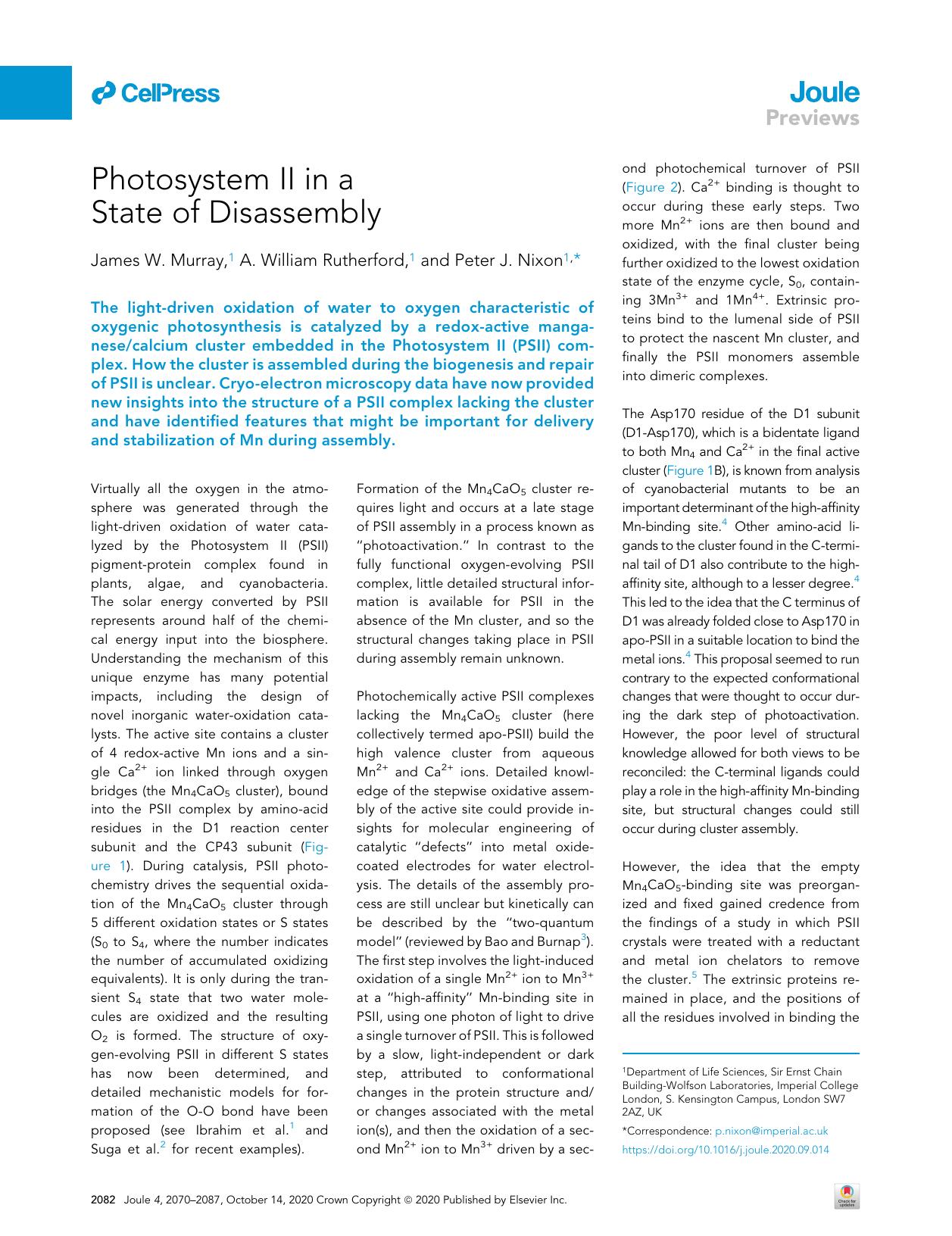 Photosystem II in a State of Disassembly by James W. Murray & A. William Rutherford & Peter J. Nixon