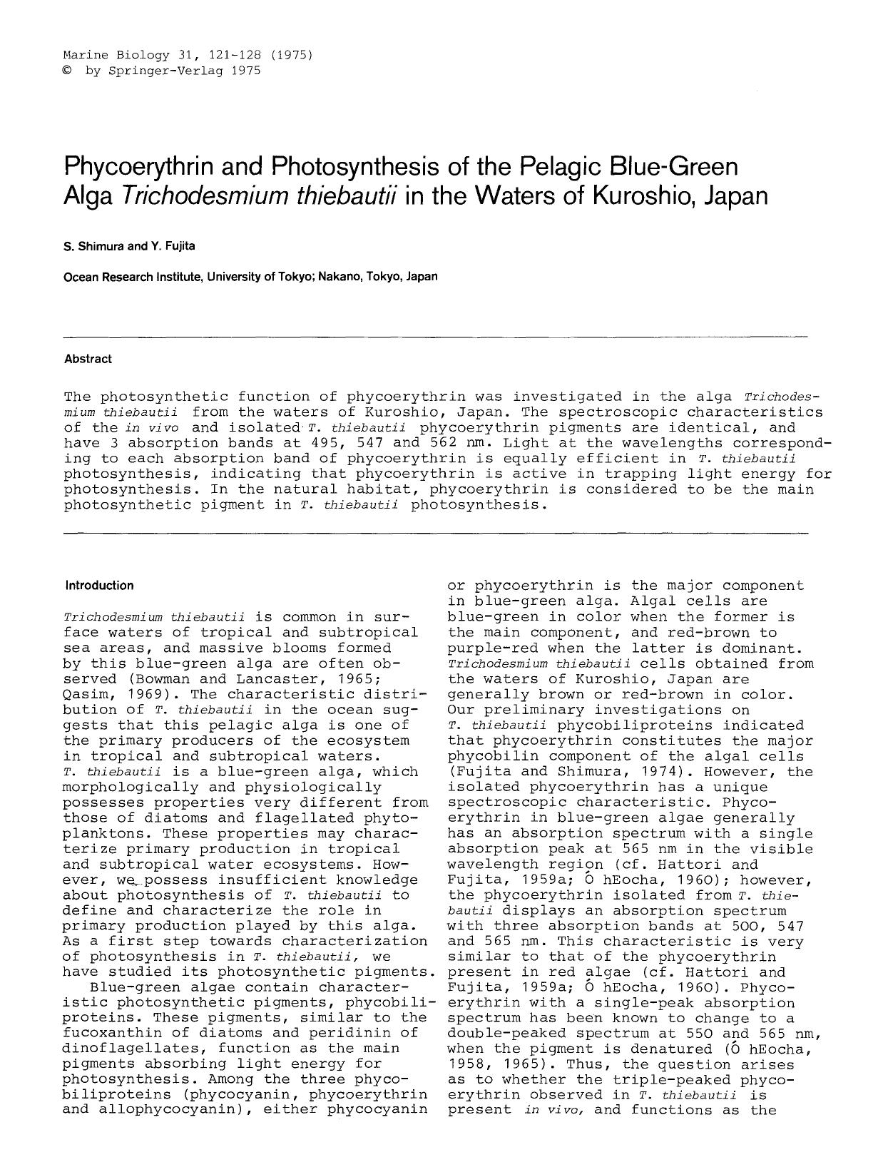 Phycoerythrin and photosynthesis of the pelagic blue-green alga <Emphasis Type="Italic">Trichodesmium thiebautii<Emphasis> in the waters of Kuroshio, Japan by Unknown