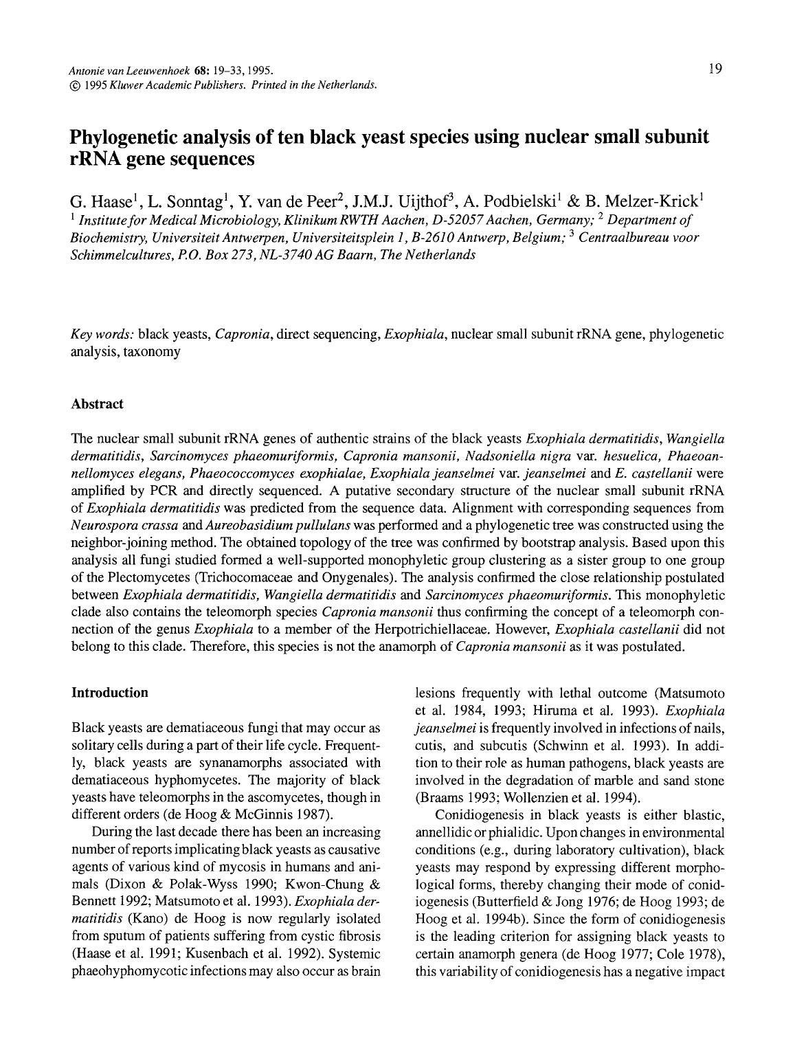 Phylogenetic analysis of ten black yeast species using nuclear small subunit rRNA gene sequences by Unknown