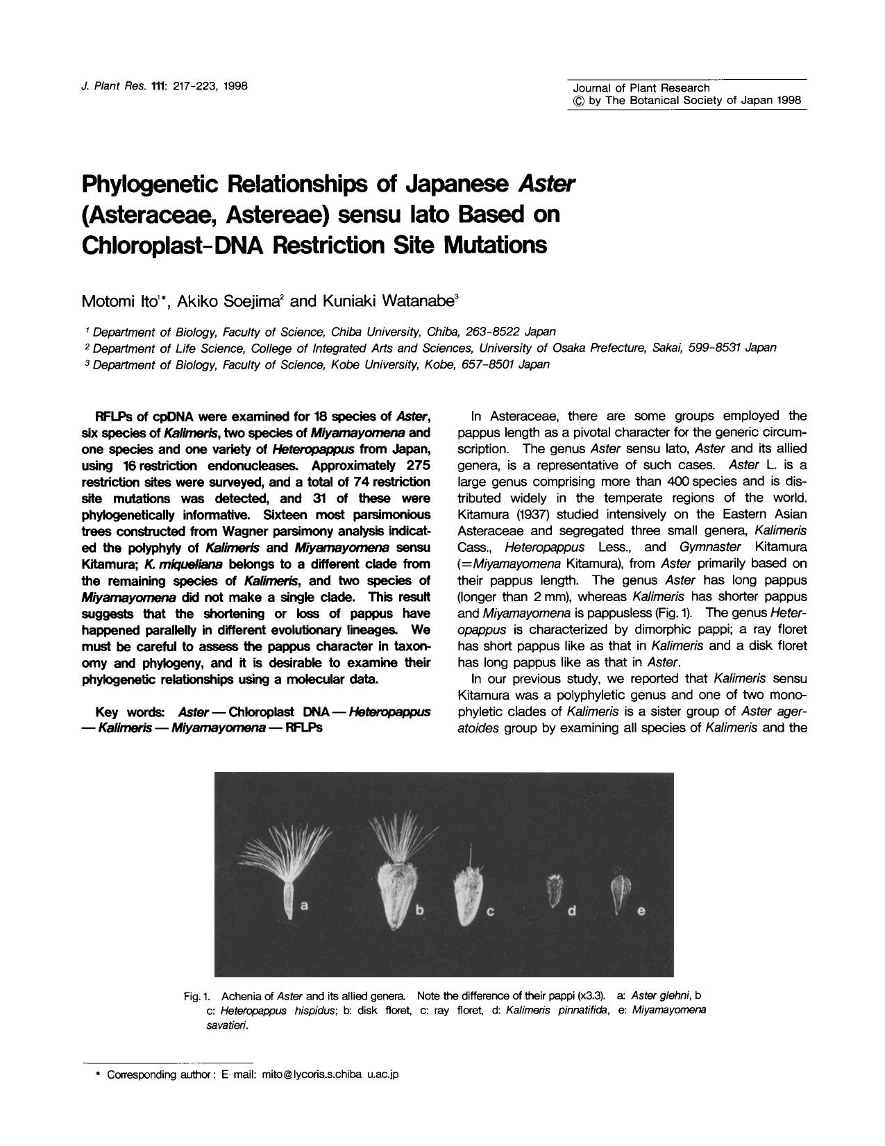 Phylogenetic relationships of Japanese <Emphasis Type="Italic">Aster <Emphasis> (Asteraceae, Astereae) sensu lato based on chloroplast-DNA restriction site mutations by Unknown