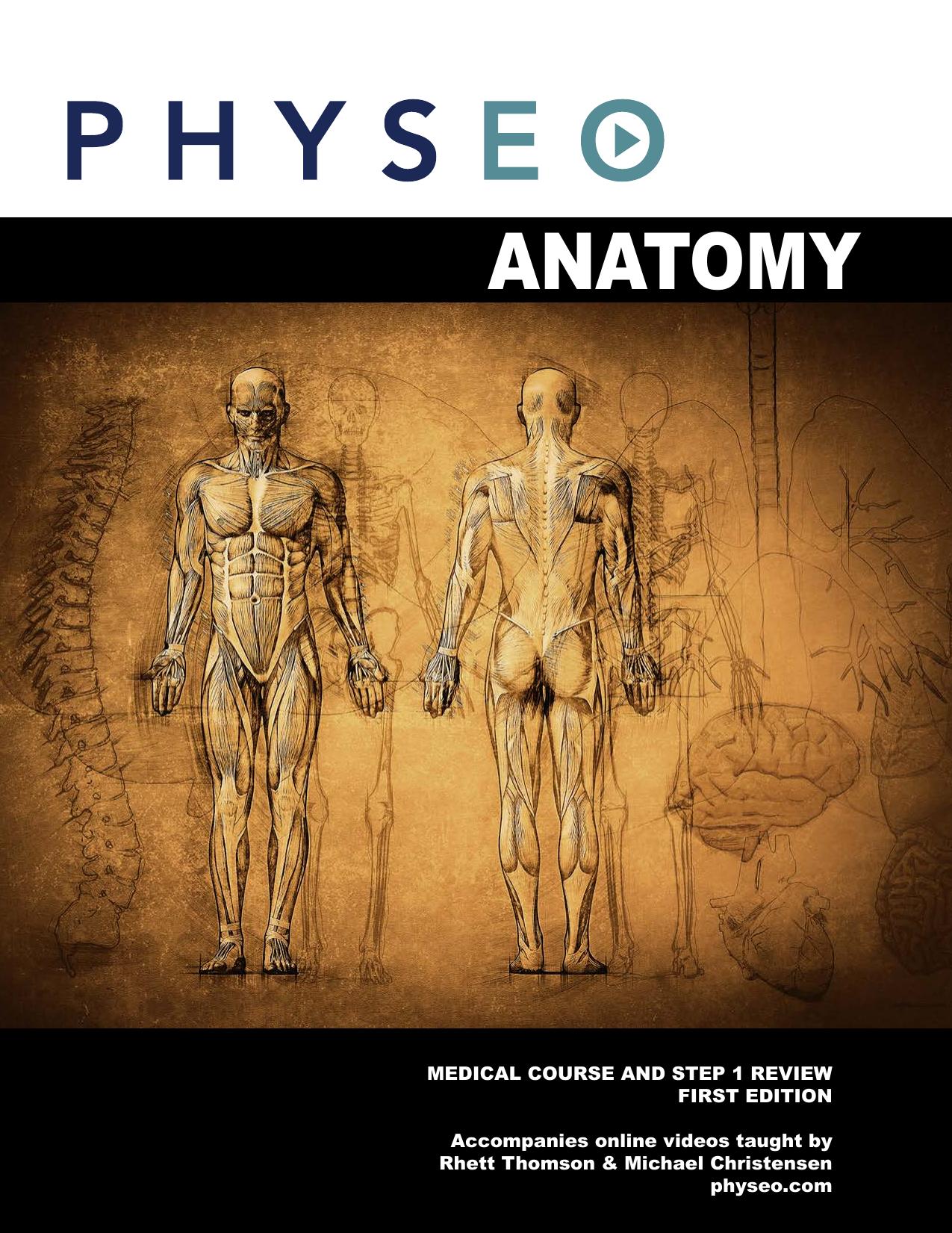 Physeo Anatomy by physeo.com