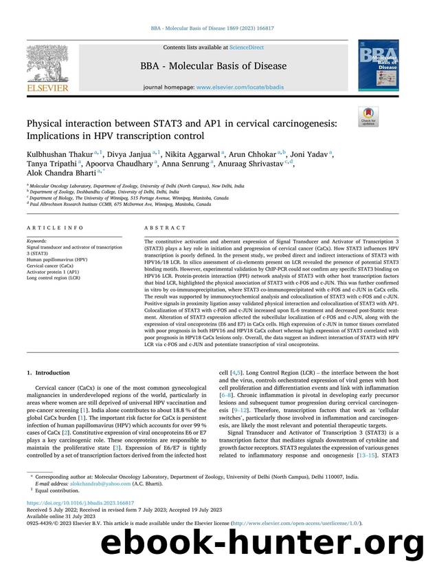 Physical interaction between STAT3 and AP1 in cervical carcinogenesis: Implications in HPV transcription control by unknow