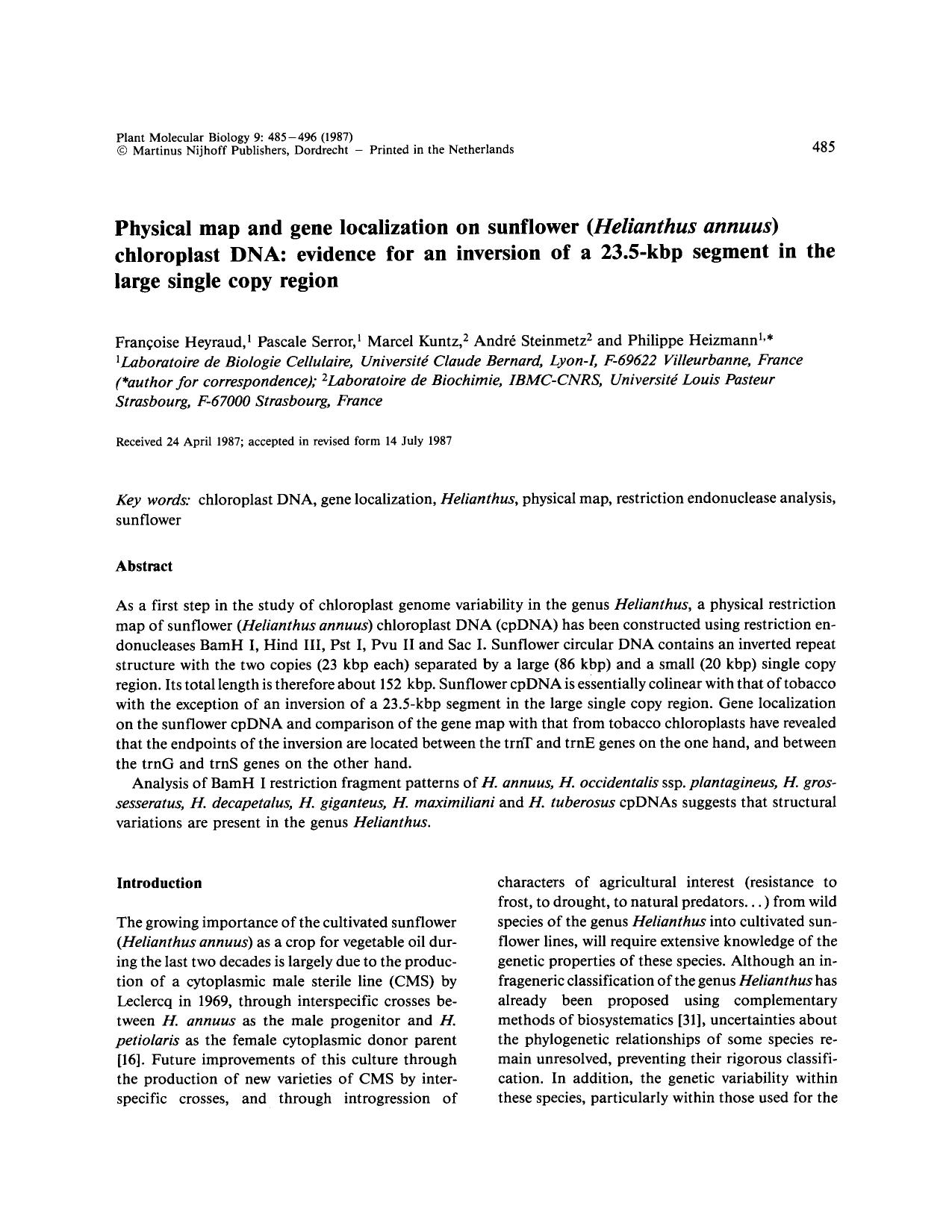 Physical map and gene localization on sunflower ( <Emphasis Type="Italic">Helianthus annuus <Emphasis>) chloroplast DNA: evidence for an inversion of a 23.5-kbp segment in the large single copy region by Unknown