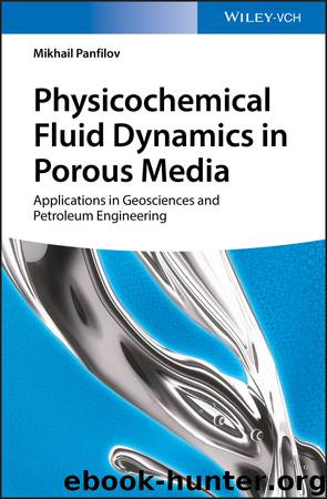 Physicochemical Fluid Dynamics in Porous Media by Mikhail Panfilov