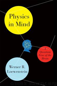 Physics in Mind by Werner Loewenstein