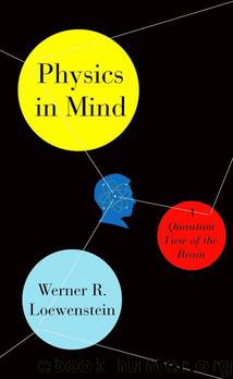 Physics in Mind: A Quantum View of the Brain by Werner R Loewenstein